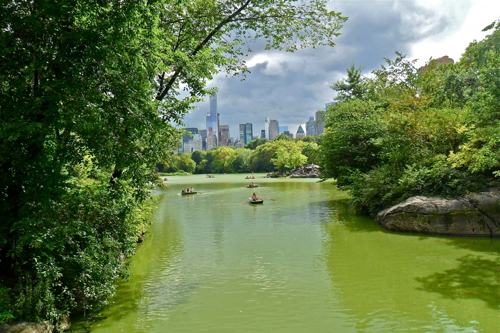 Freedom Tower view from Central Park 